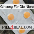 Ginseng Für Die Niere 24